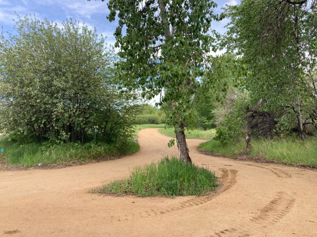 Prickly Pear Greenway Segment 2 North