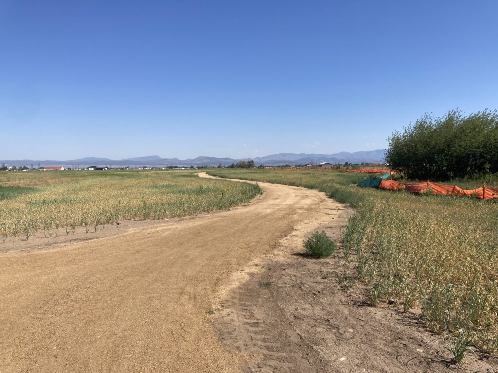 Prickly Pear Greenway