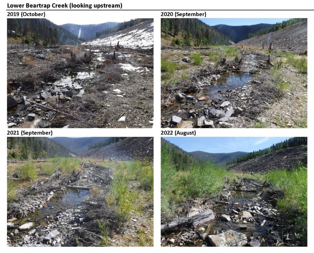 Lower Beartrap Creek photo point, 2019 to 2022