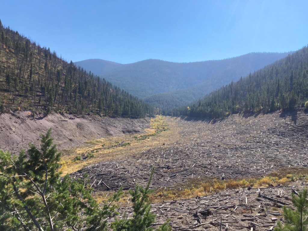 Mike Horse Creek and Upper Bear Trap Creek after remediation and restoration