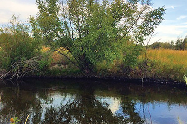 Upper Clark Fork River