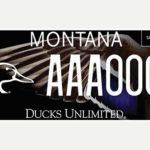 Ducks Unlimited 2023 Redesign thumbnail