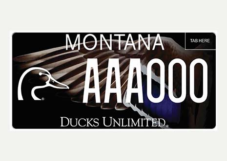 Ducks Unlimited 2023 Redesign thumbnail