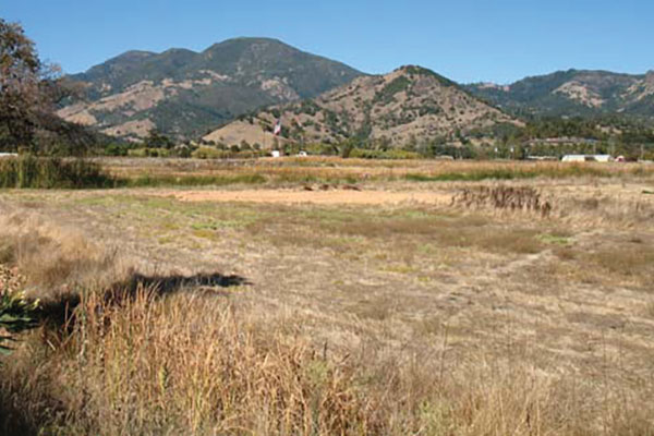 East Helena Site 