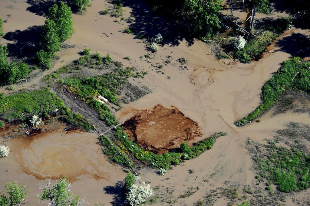 Oil inundated floodplain on Yellowstone River