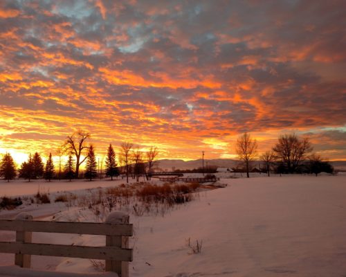 MLEA winter sunrise